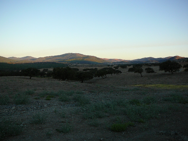 Un doux paysage Une marche matinale euphorisante.