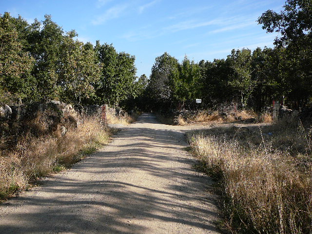 Chemin ombragé Une piste très agréable au cours de la matinée.