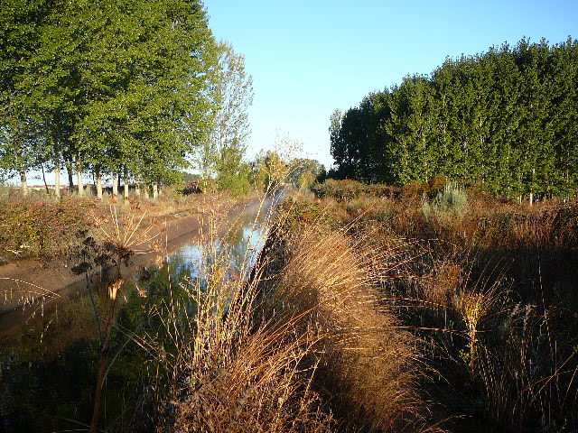Canal près du chemin 
